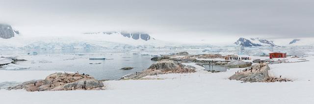 104 Antarctica, Petermann Island.jpg